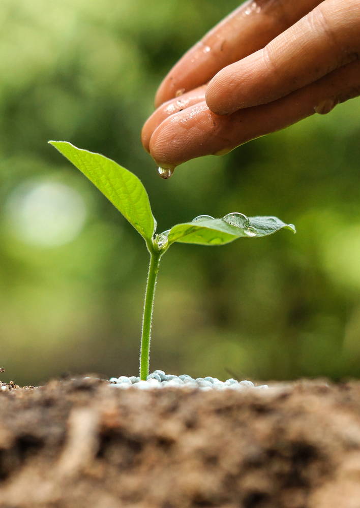 Nature growing (cell health)